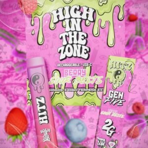 Hitz Berry Sour Belts 2G Disposable
