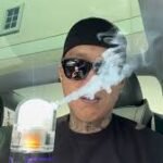 Home hitz vape disposable